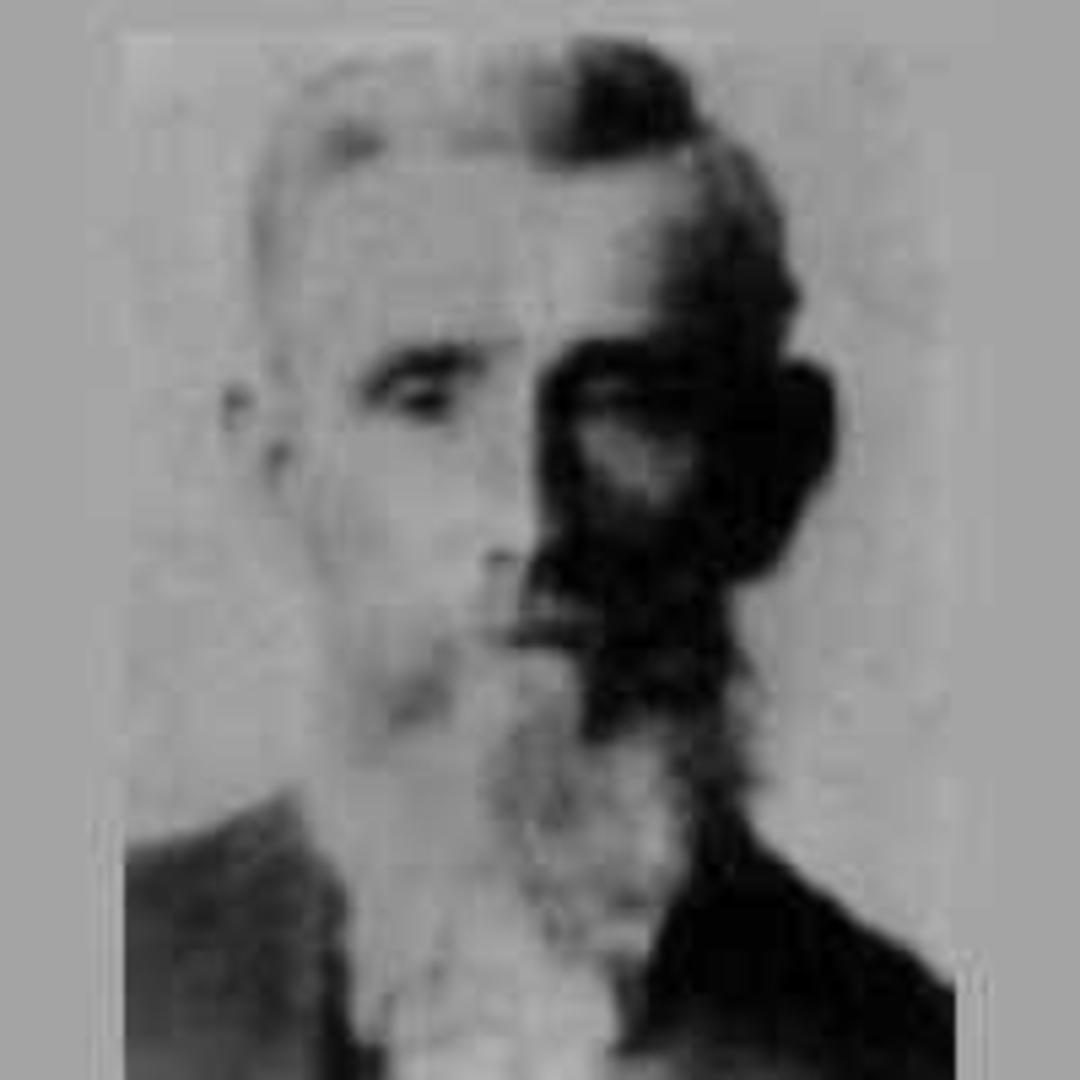 Heber Ezra Curtis (1843 - 1904) Profile